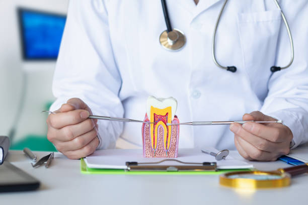 Best Pediatric Emergency Dentist in Spring Valley Village, TX